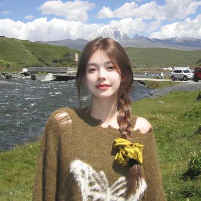 囧探佳人海报